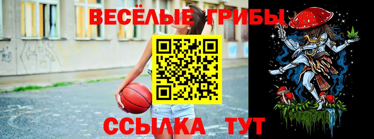 Галлюциногенные грибы Psilocybe  Вход с VPN  Гулькевичи  Галлюциногенные грибы Psilocybine cubensis 
