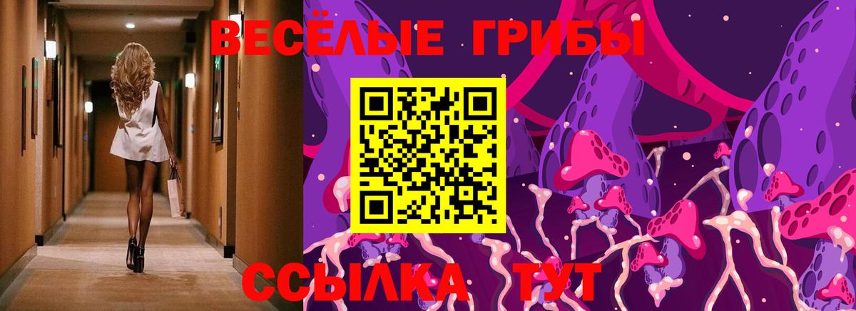 Галлюциногенные грибы прущие грибы Гулькевичи